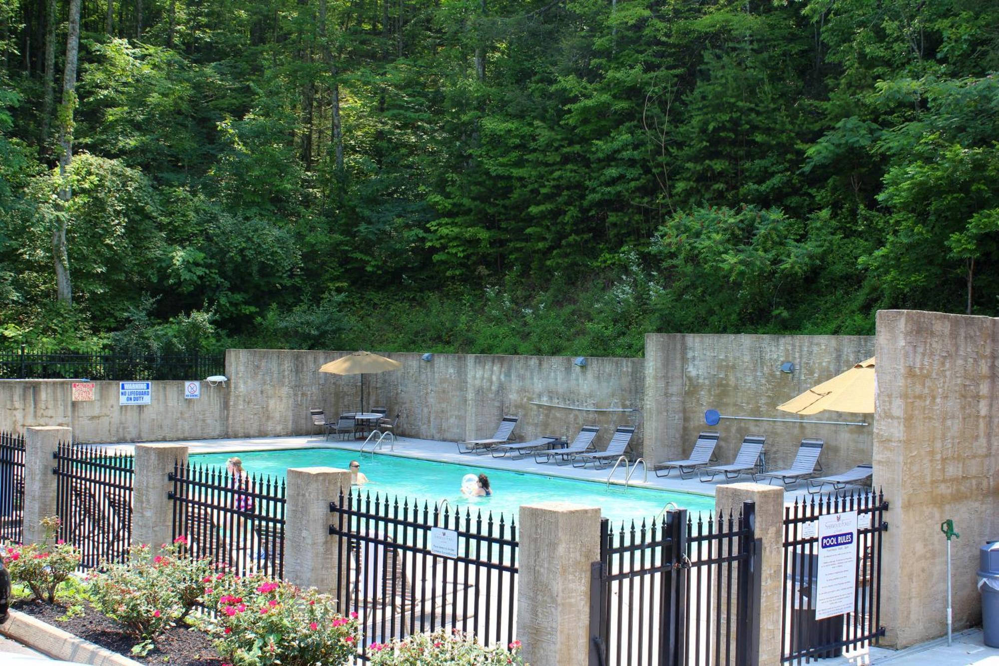 A Higher Calling, 1089 Of Free Area Attraction Tickets For Each Paid Day, Dollywood And More! Pigeon Forge Buitenkant foto